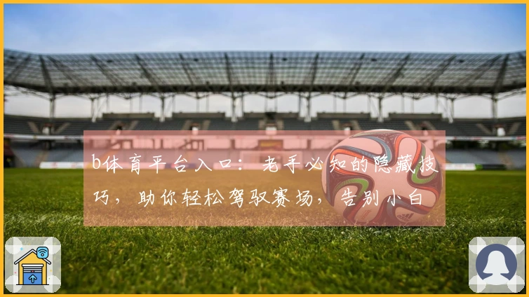 b体育平台入口：老手必知的隐藏技巧，助你轻松驾驭赛场，告别小白体验！