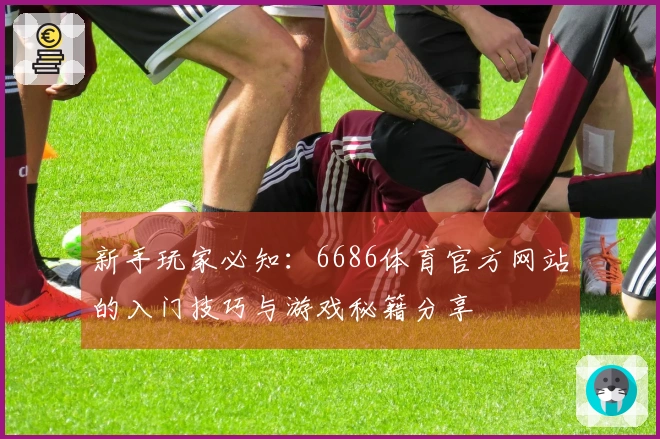 新手玩家必知：6686体育官方网站的入门技巧与游戏秘籍分享