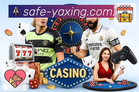 亚星官网APP 封面图